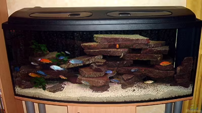 Aquarium Hauptansicht von Becken 470