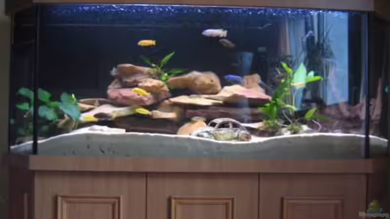 Aquarium Hauptansicht von Becken 4850