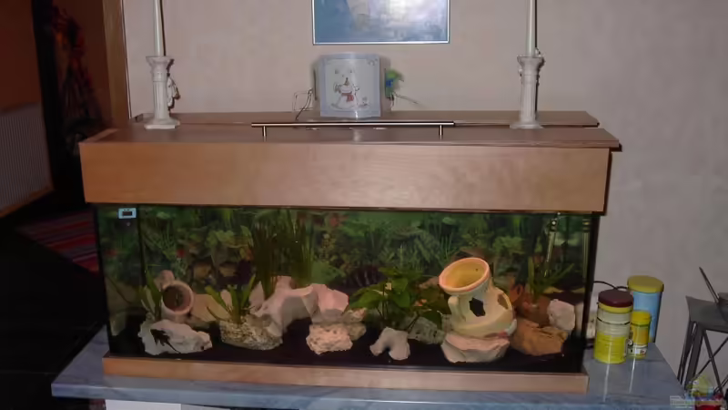 Aquarium Hauptansicht von Becken 4983