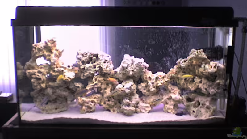 Aquarium Hauptansicht von Becken 5558