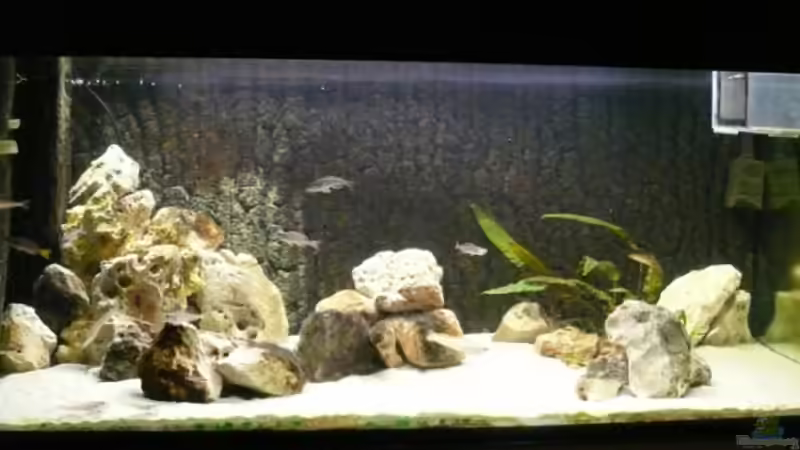 Aquarium Hauptansicht von Becken 6839