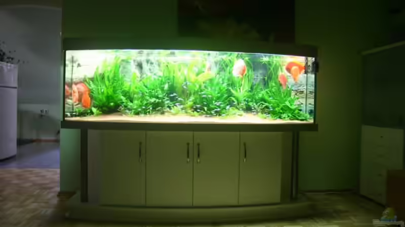 Aquarium Hauptansicht von Becken 6860