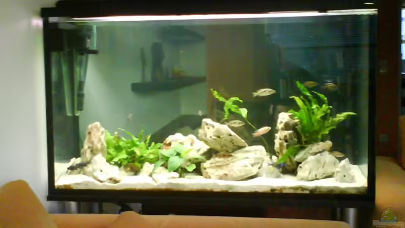 Aquarium Hauptansicht von Becken 7882