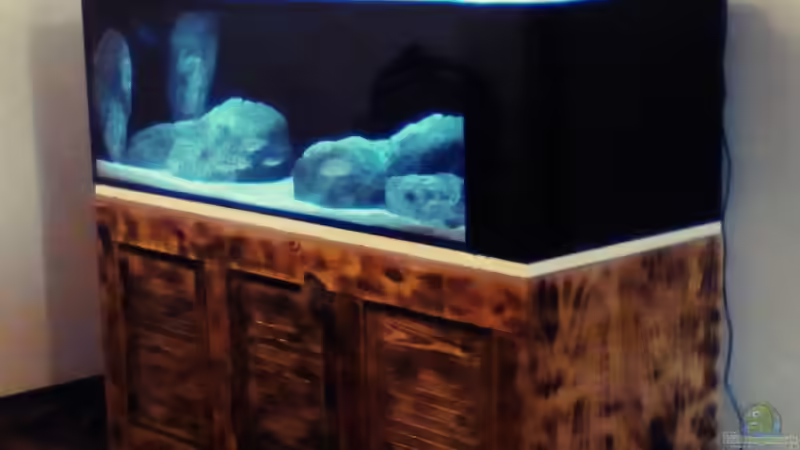 Aquarium Hauptansicht von Brauche Hilfe bei Besatzung