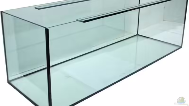 Aquarium Hauptansicht von das Kleine
