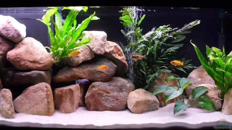 Aquarium Hauptansicht von Deltec