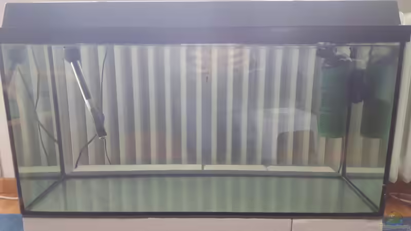 Aquarium Hauptansicht von Diskus Quarantäne Becken