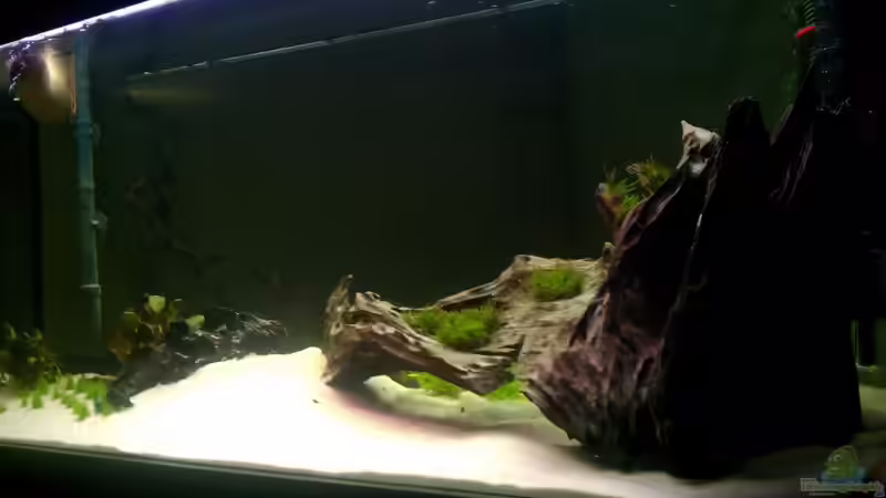 Aquarium Hauptansicht von Diskuseum
