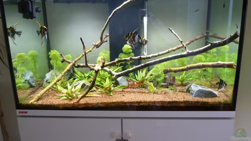 Aquarium Hauptansicht von Eheim incpiria 300