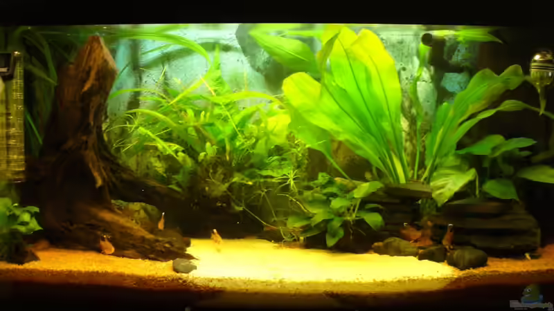 Aquarium Hauptansicht von Fast Südamerika