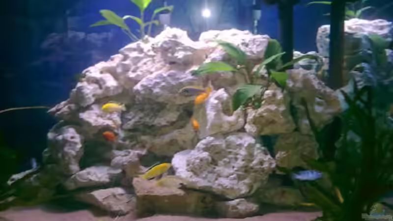 Aquarium Hauptansicht von Fluval Venezia Eckaquarium