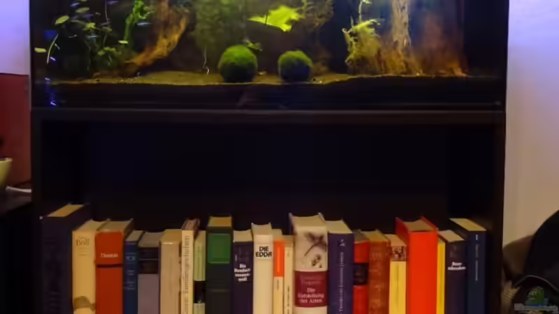 Aquarium Hauptansicht von Hoan Kiem