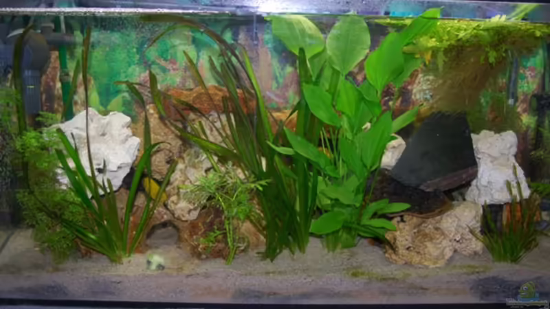 Aquarium Hauptansicht von Juwel mit schwarzem Unterschrank