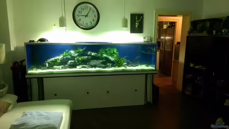 Aquarium Hauptansicht von Malawi