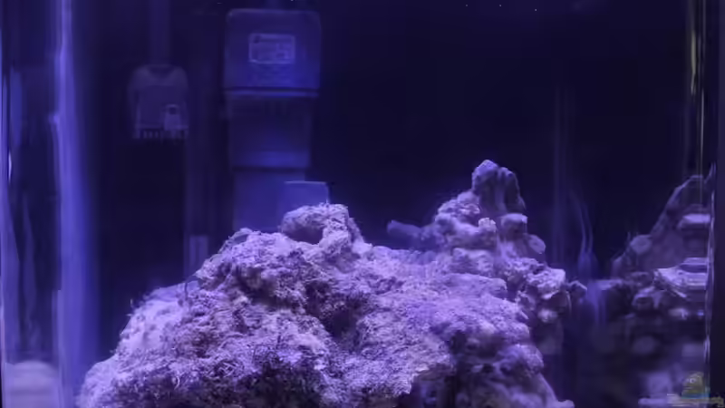 Aquarium Hauptansicht von Meerwasser Nano Cube
