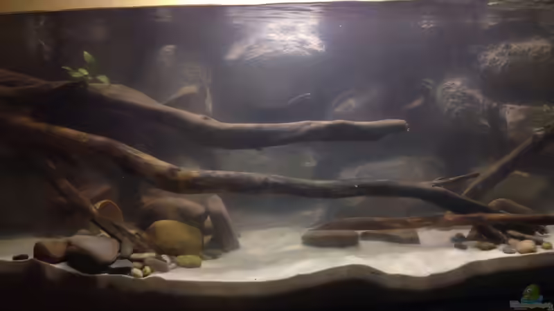 Aquarium Hauptansicht von Mein erstes