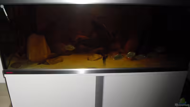 Aquarium Hauptansicht von Meine Scheiben