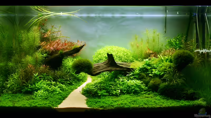 Aquarium Hauptansicht von Never-Never Land