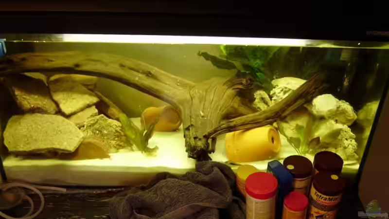 Aquarium Hauptansicht von Nur noch als Beispiel |Krebse
