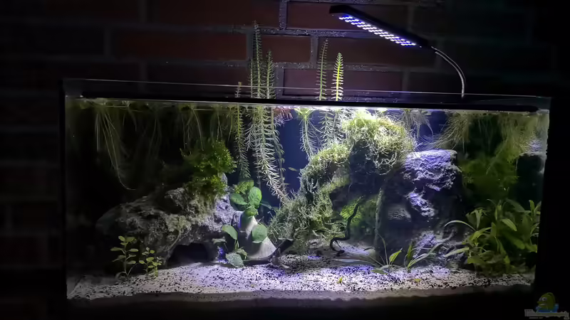 Aquarium Hauptansicht von Outdoorbecken