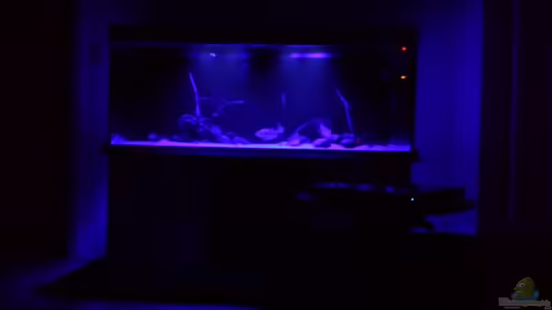 Aquarium Hauptansicht von Ragnarok