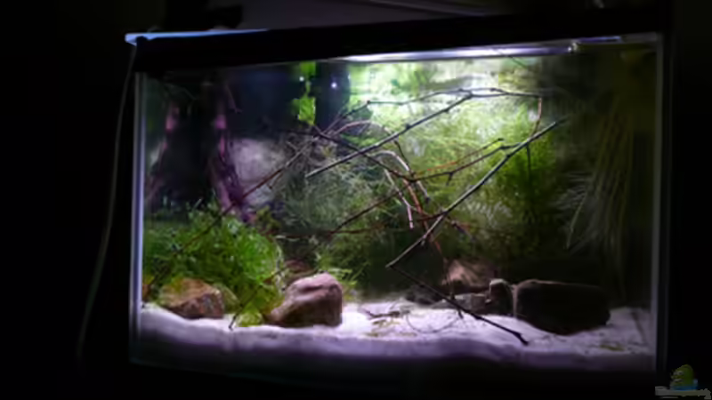 Aquarium Hauptansicht von RF