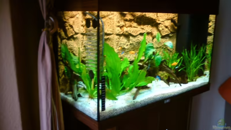 Aquarium Hauptansicht von rio 125