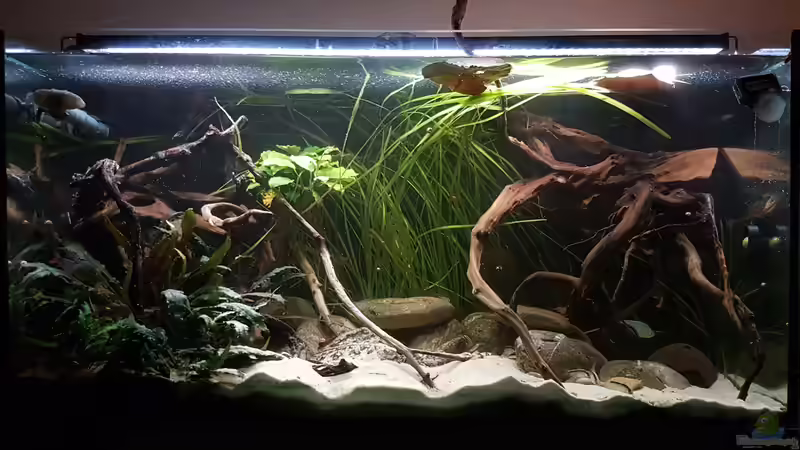 Aquarium Hauptansicht von Rio Negro em Suíça
