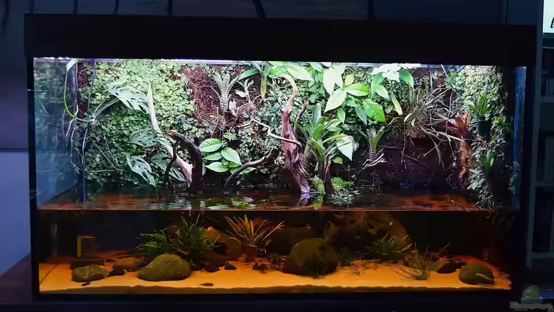 Aquarium Hauptansicht von Rivarium