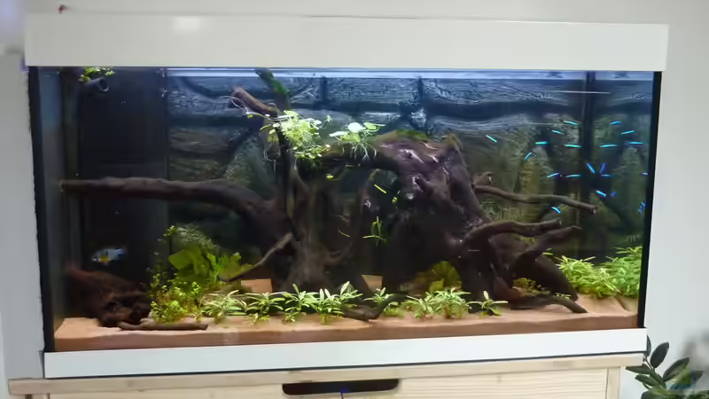 Aquarium Hauptansicht von South Amerika from South Tyrol