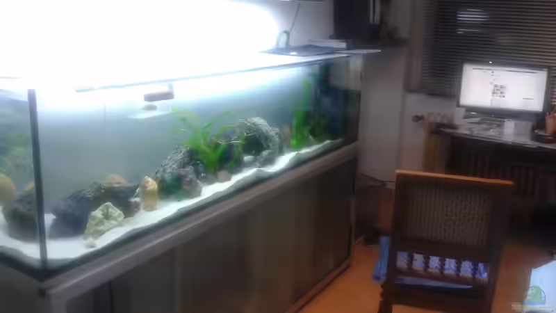 Aquarium Hauptansicht von Tanganjika-Cliffside