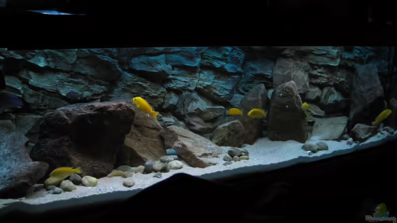 Aquarium Hauptansicht von Ufernahe Übergangszone