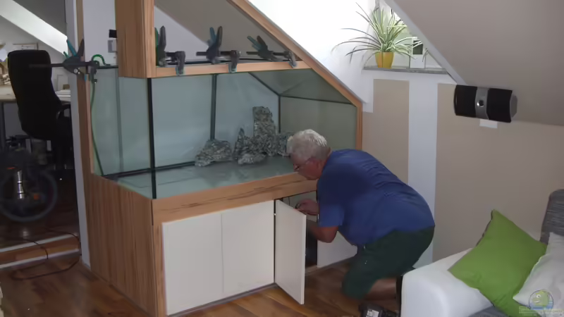 Aquarium im Dachgeschoss: Das musst du beachten!