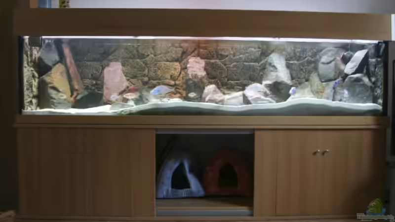 Aquarium komplett