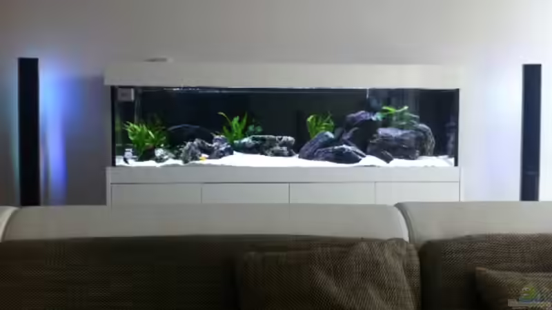 Aquarium zwischen LED Dolby Surround System