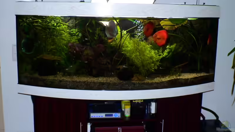 Aquarium