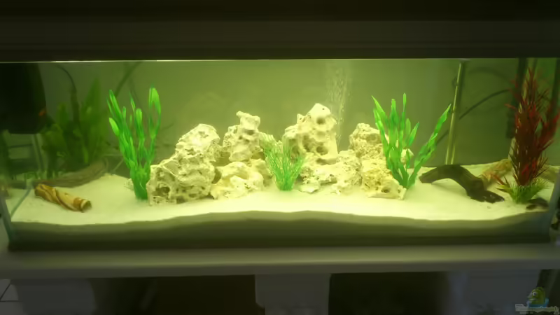 Aquarium