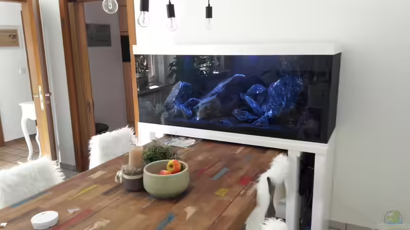 Aquarium