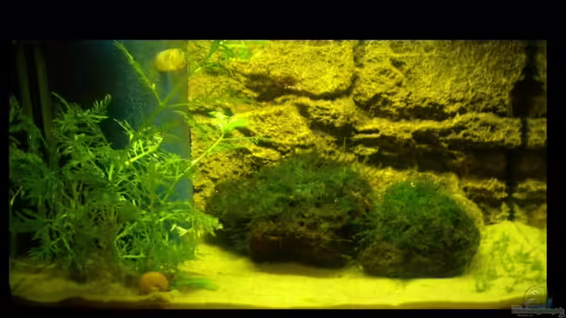 Aquarium