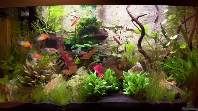 Aquarium