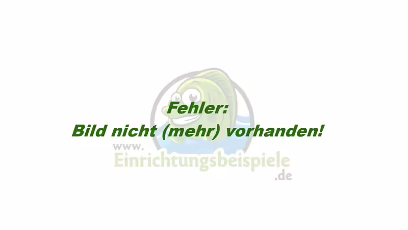 Bau einer Rückwand im Amazonas-Design