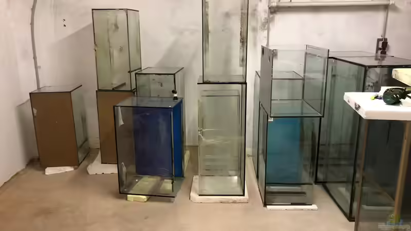 Bau eines Aquarien-Kellers, Teil ZWEI, Sommer 2018