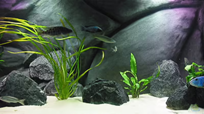Becken 230x80x65 cm