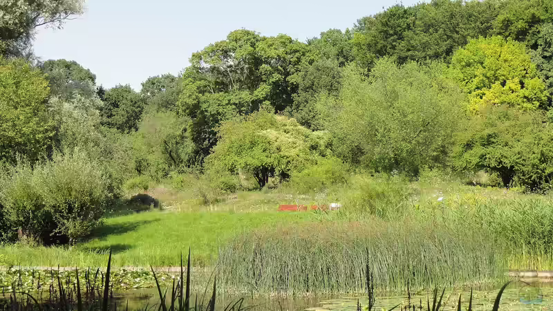 Botanischer Garten Frankfurt am Main: Ein grünes Paradies mitten in der Großstadt