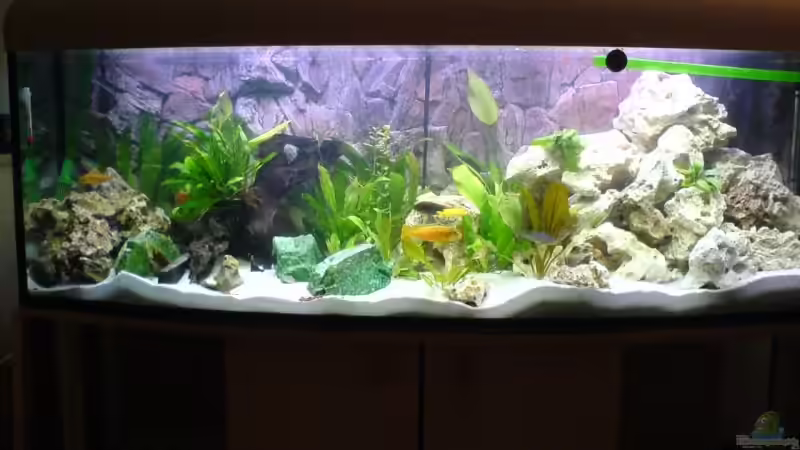 Das neue Becken, noch sehr steril