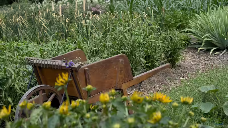 Das sind die 10 gesündesten Gemüsesorten für deinen Garten