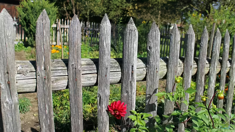 Den perfekten Gartenzaun finden: Materialien, Design und Tipps für den Bau