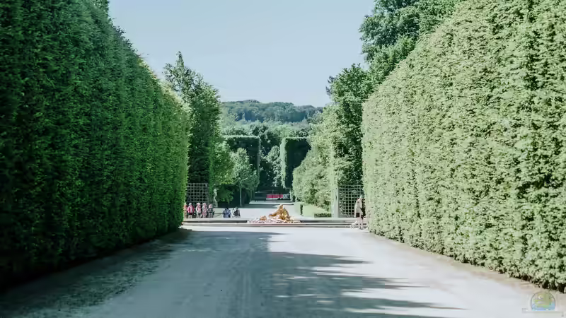 Der Garten des Schloss Versailles - Ein Meisterwerk französischer Gartenkunst