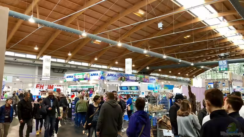 Die Aqua-Fisch in Friedrichshafen