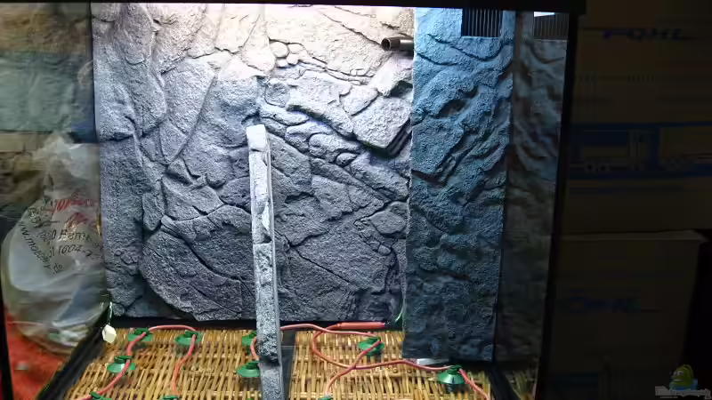 Aquarien mit Motivrückwand Juwel Stone